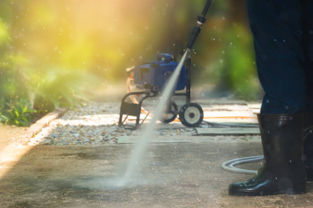 Best Animal Enclosure Cleaning  in Rowland Heights, CA